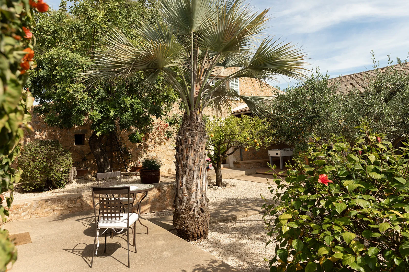 Absoluto oasis de benestar amb vista de somni a la Tramuntana-18