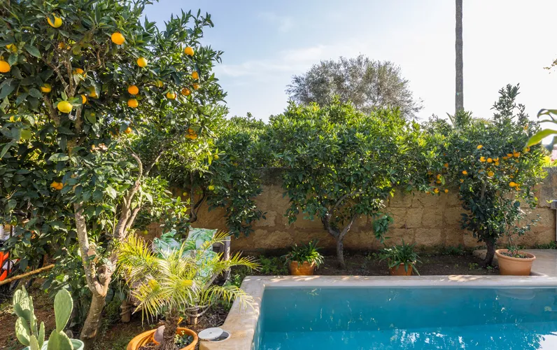 Charmerende landsbyhus i Biniali