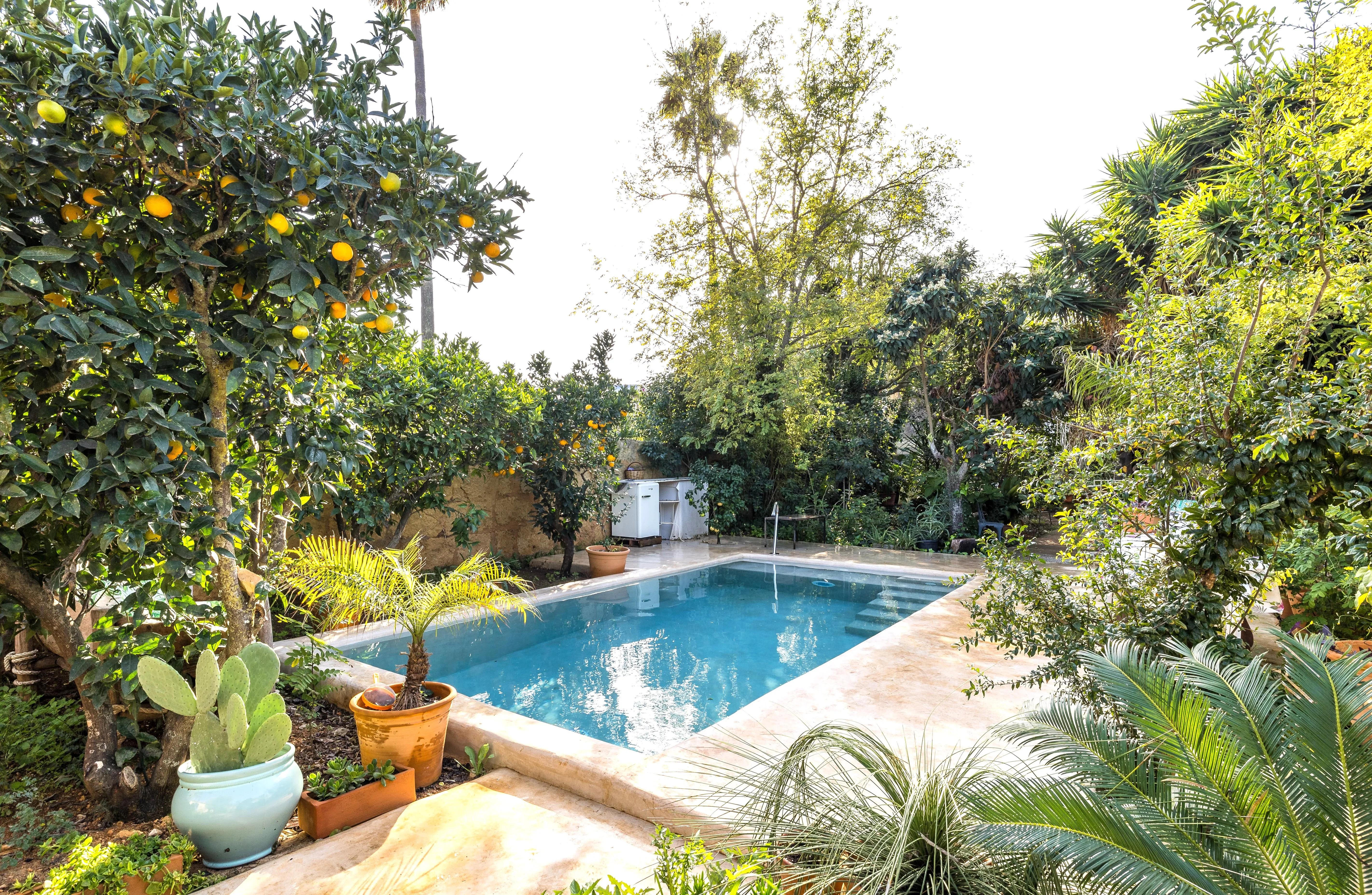 Charmante maison de village à Biniali-2