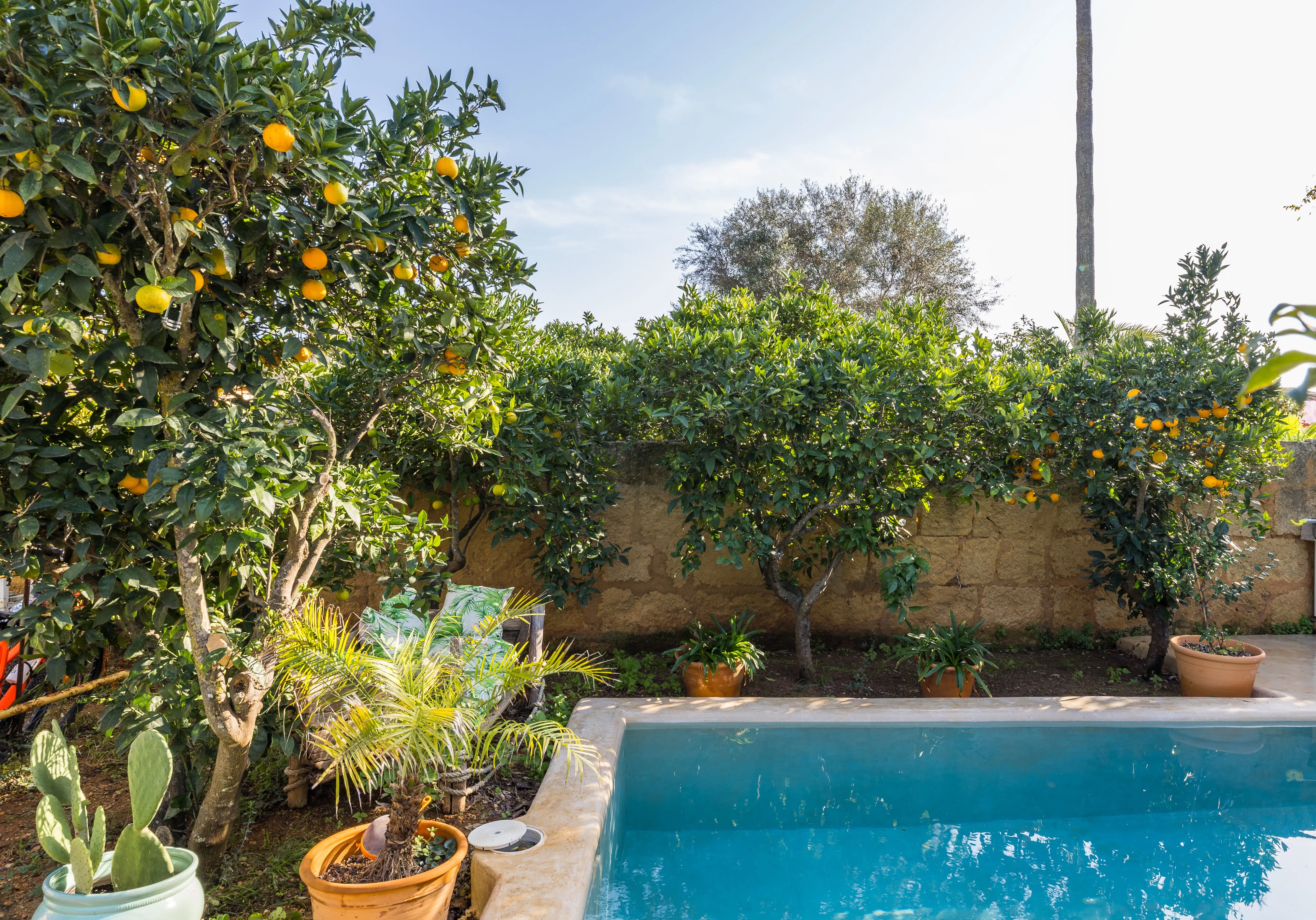 Charmante maison de village à Biniali-1