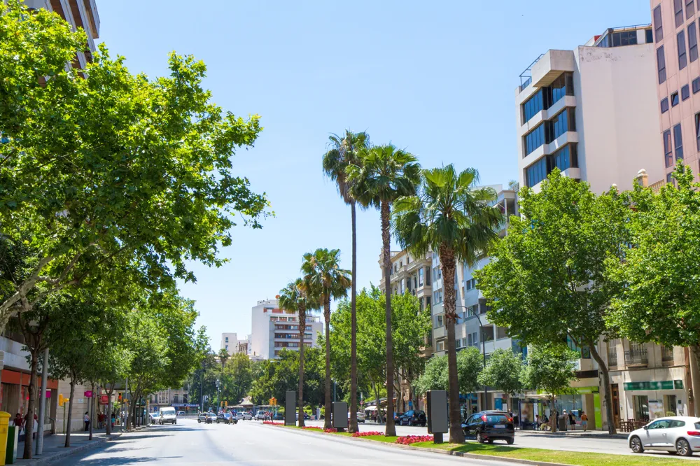 Bar-gelateria affermato in posizione privilegiata-2