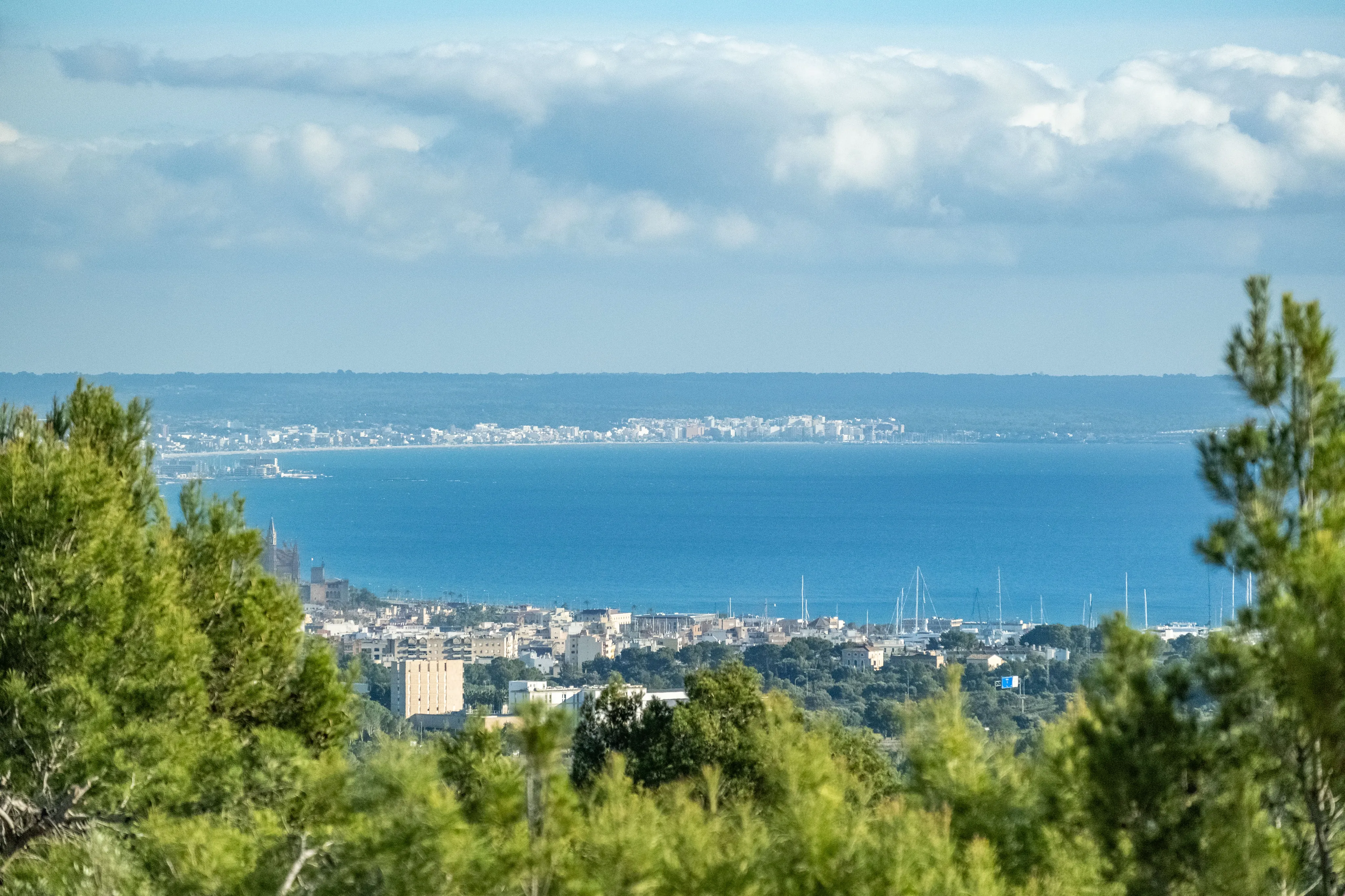 Splendida villa di grandi dimensioni con vista panoramica a Son Vida-31