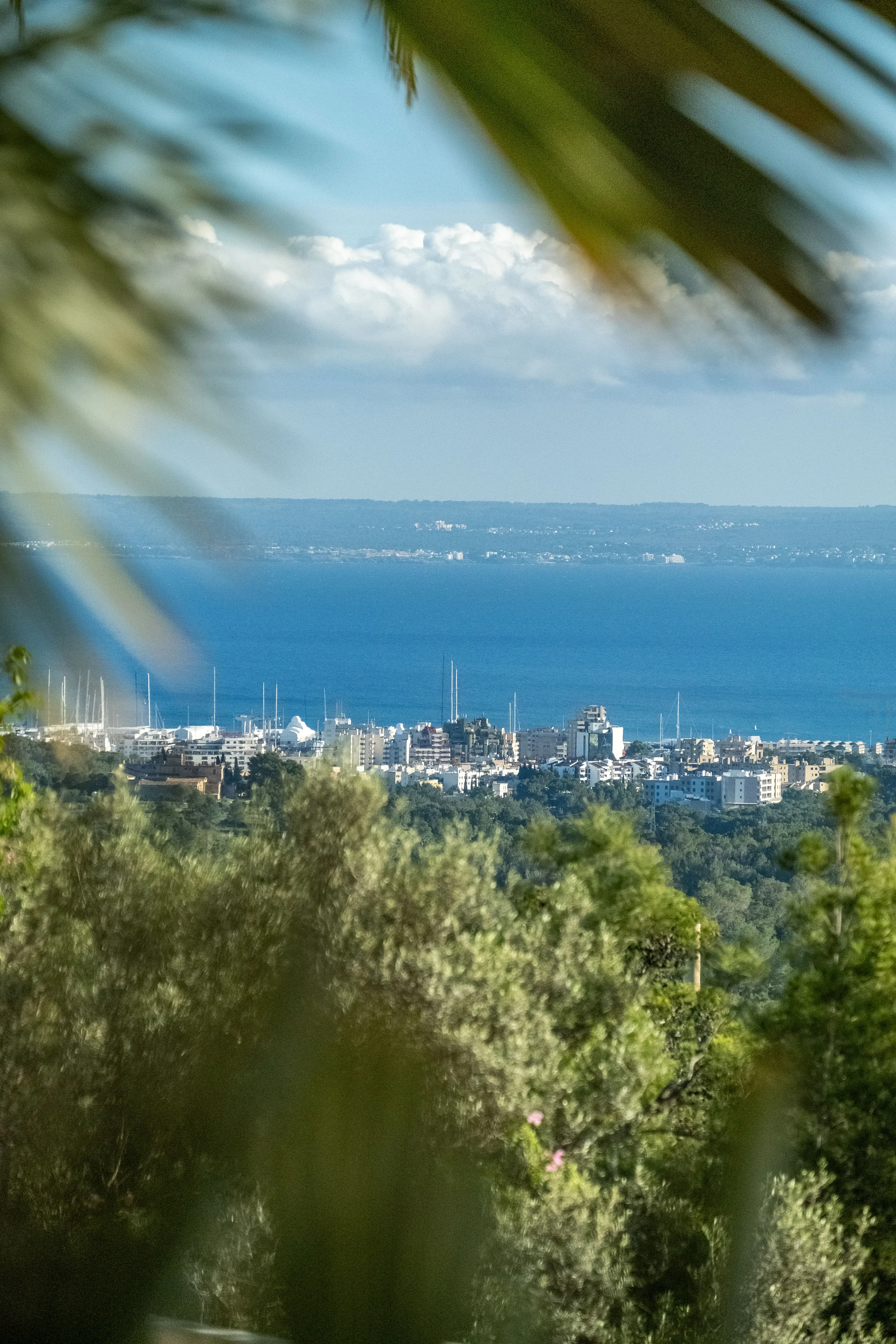 Splendida villa di grandi dimensioni con vista panoramica a Son Vida-30