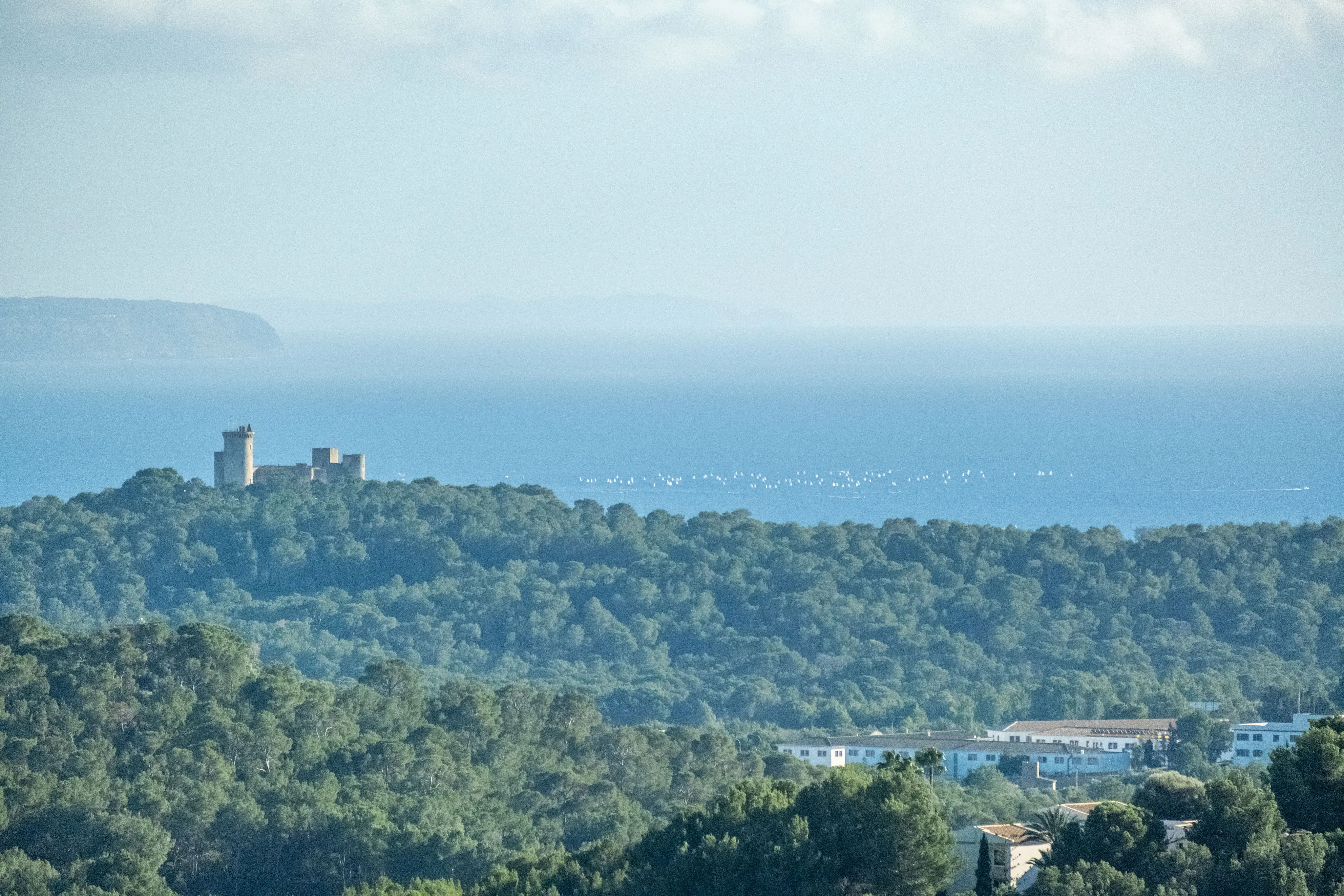 Splendida villa di grandi dimensioni con vista panoramica a Son Vida-32