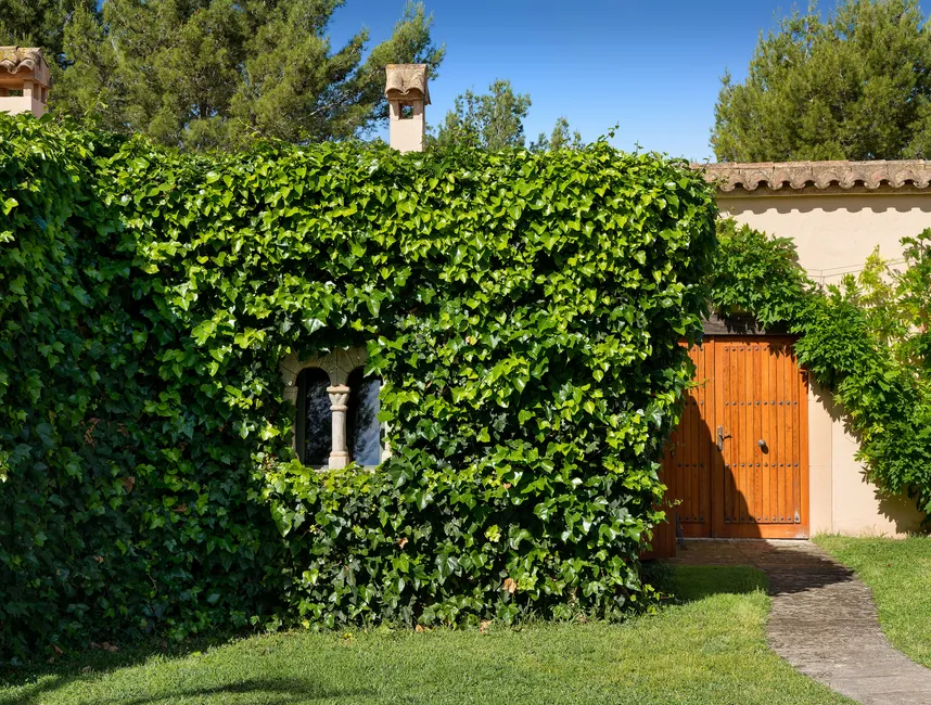 The ultimate family holiday villa in Santa Ponsa-4