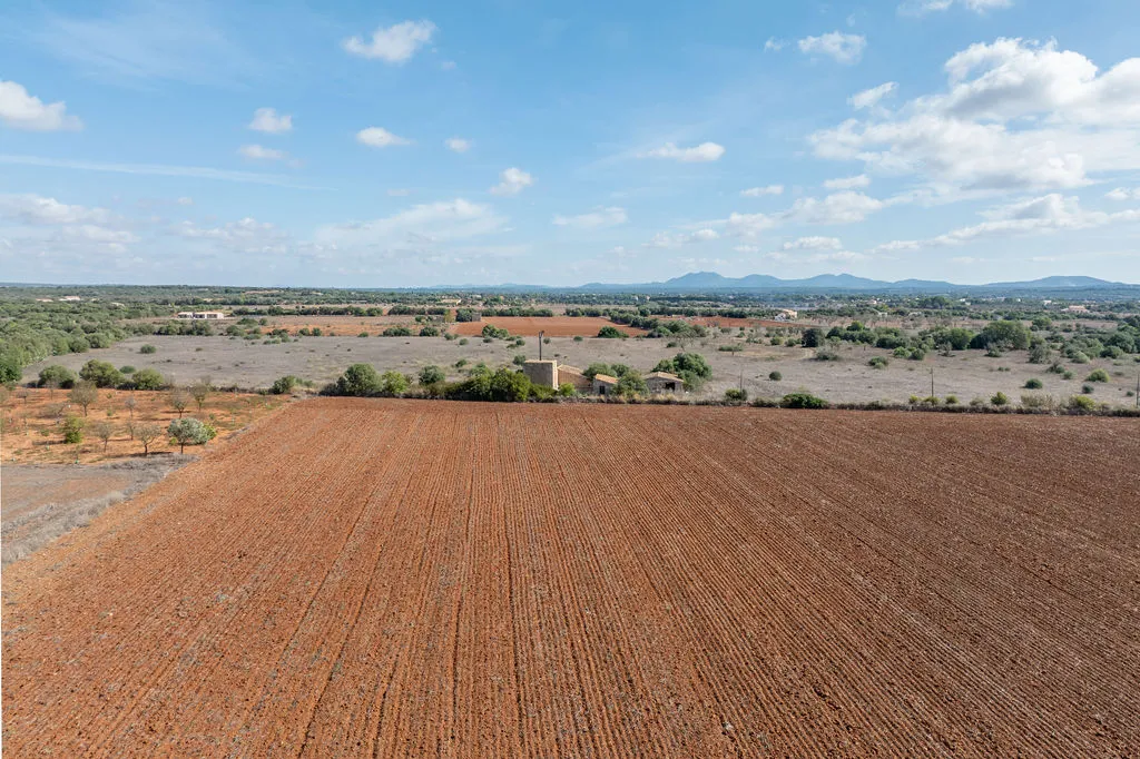 Baugrundstück mit genehmigtem Projekt unweit des Es Trenc-10