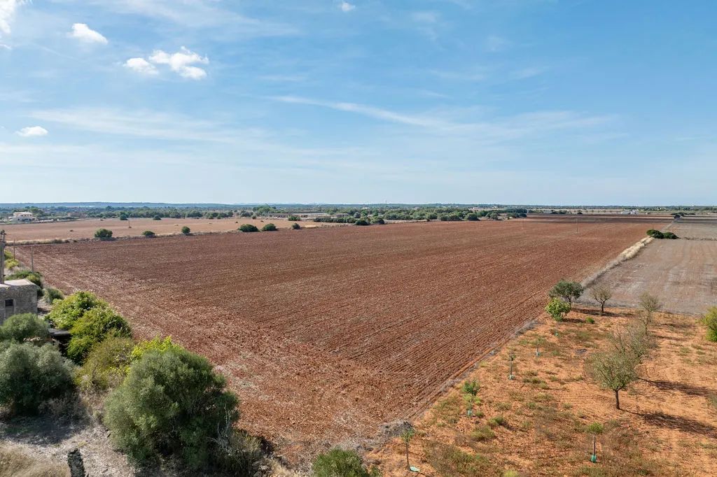 Bouwkavel met goedgekeurd project niet ver van Es Trenc-5