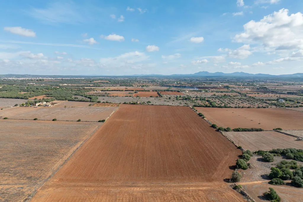 Baugrundstück mit genehmigtem Projekt unweit des Es Trenc-9