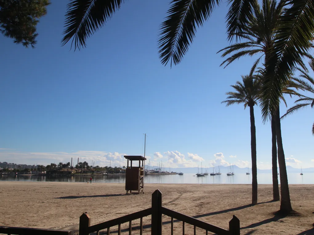 "Andreu Playasol" Location temporaire à Puerto Alcudia-17