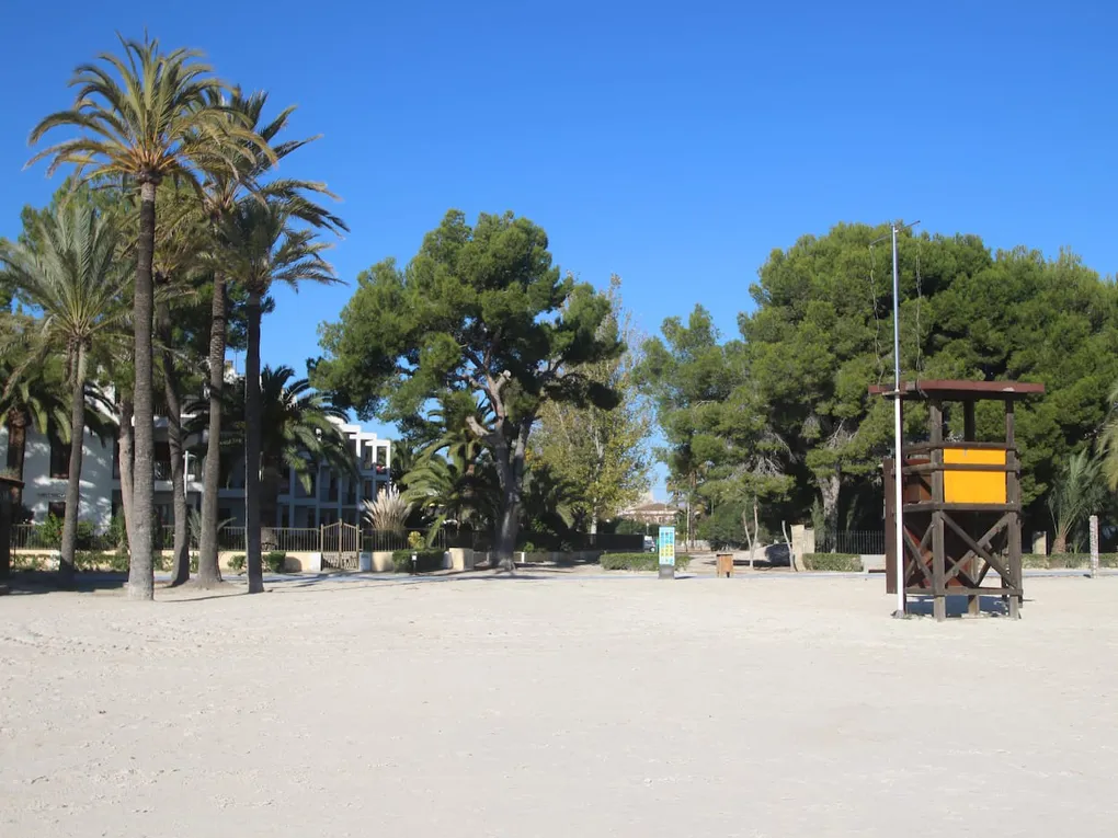 "Andreu Playasol" Location temporaire à Puerto Alcudia-18