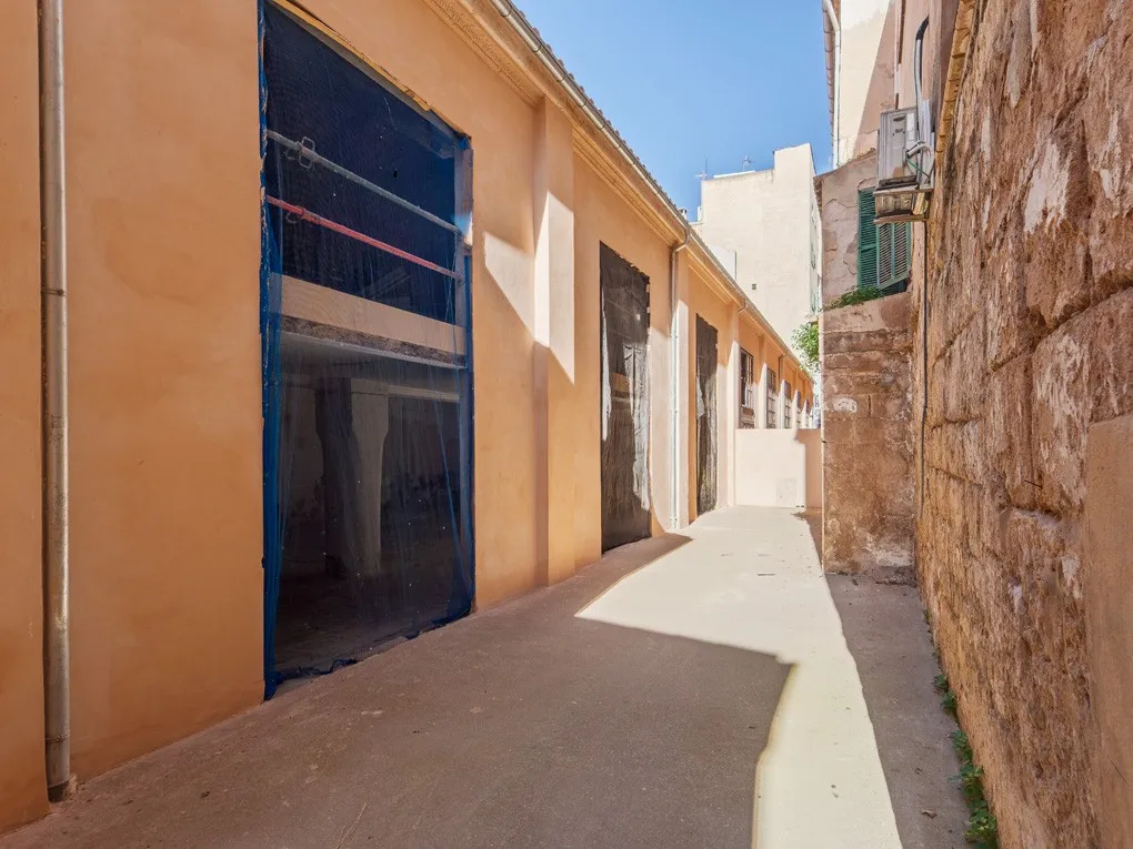 Exclusieve kans: Stijlvolle loft voor renovatie-2