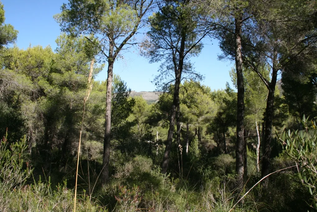 Property with basic project and sea views-3