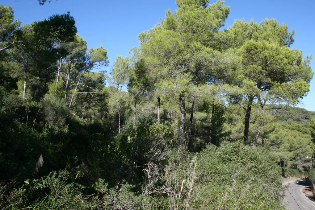 Property with basic project and sea views-4