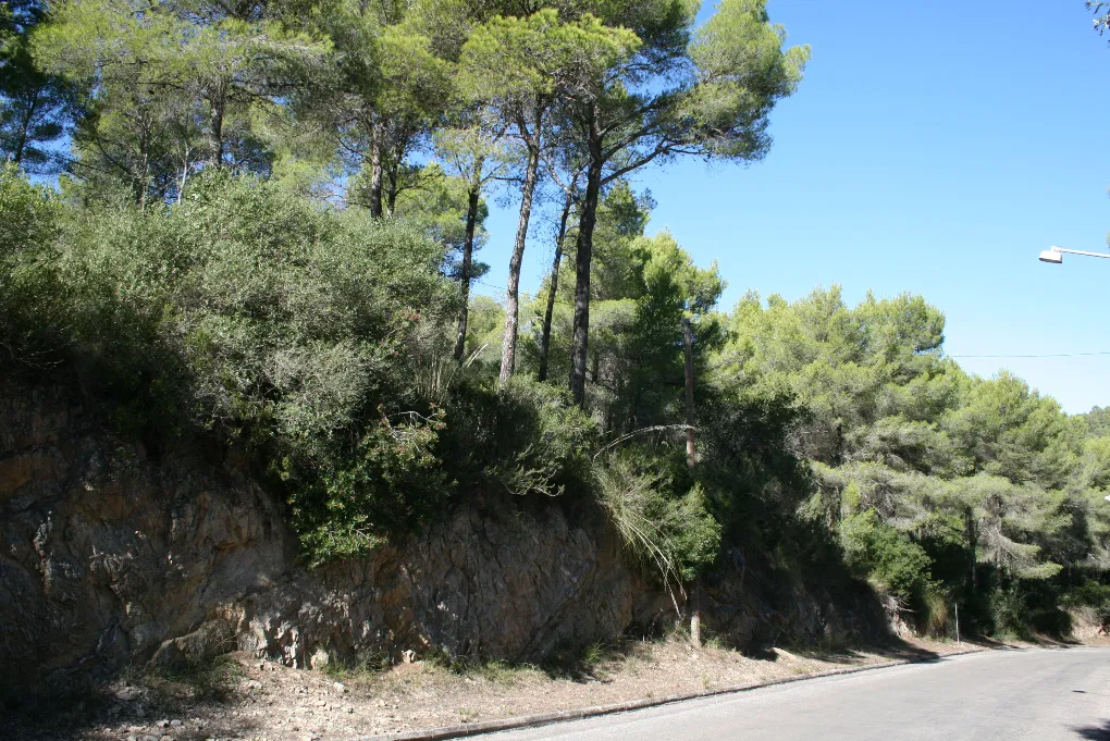 Propietat amb un pla de desenvolupament bàsic i vistes al mar-1
