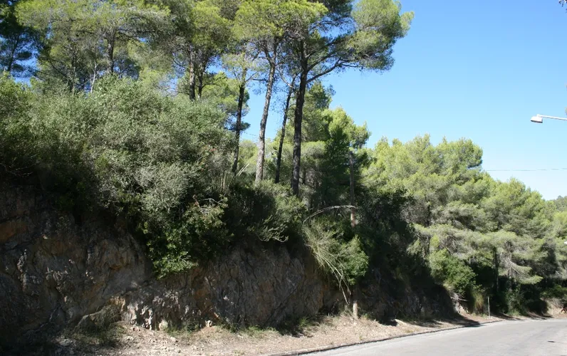 Proprietà con progetto di base e vista mare in Costa de Canyamel