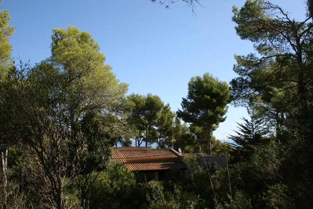 Property with basic project and sea views-2