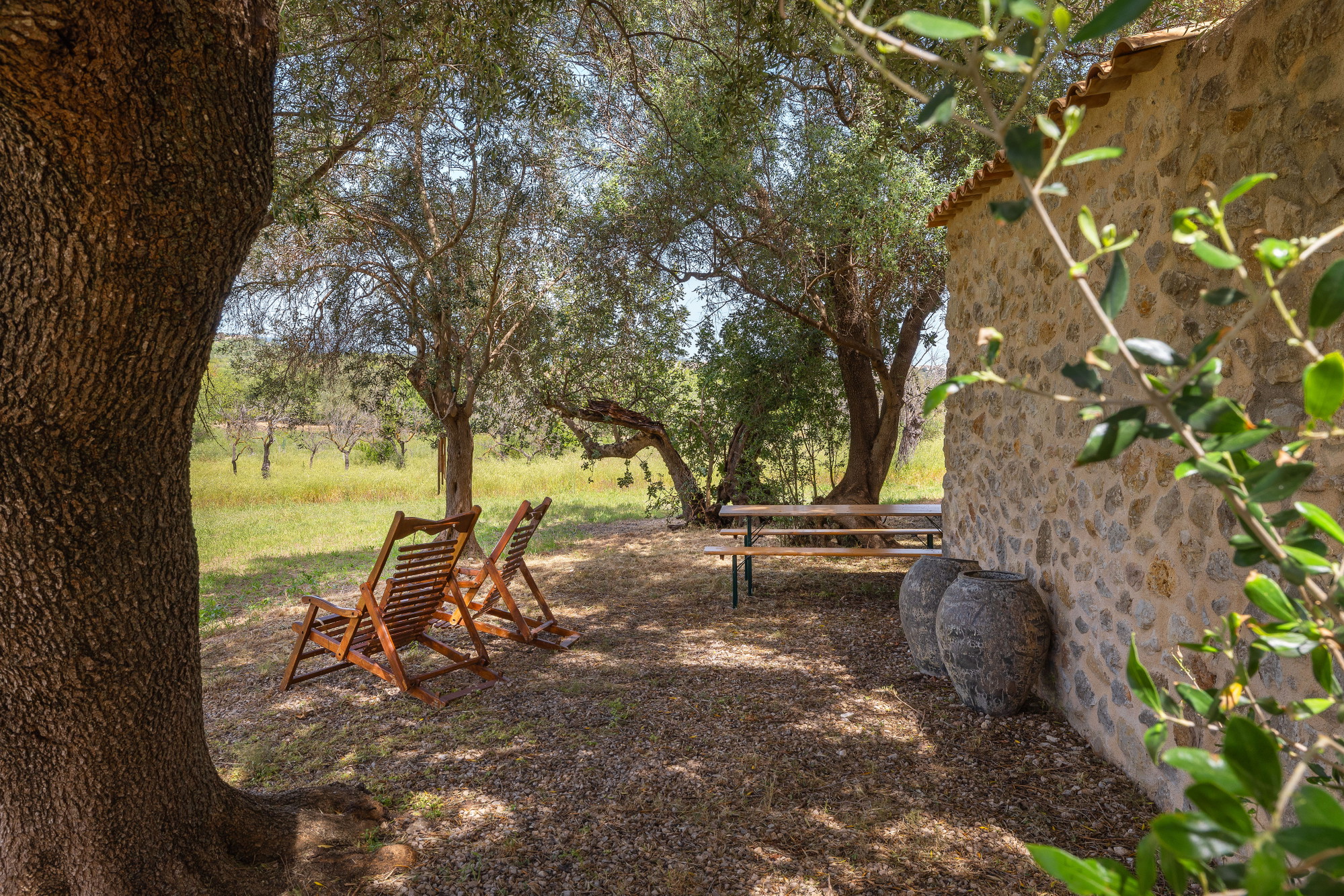 Luxury finca in Mallorca: Where tradition meets smart home technology at the Tramuntana-29