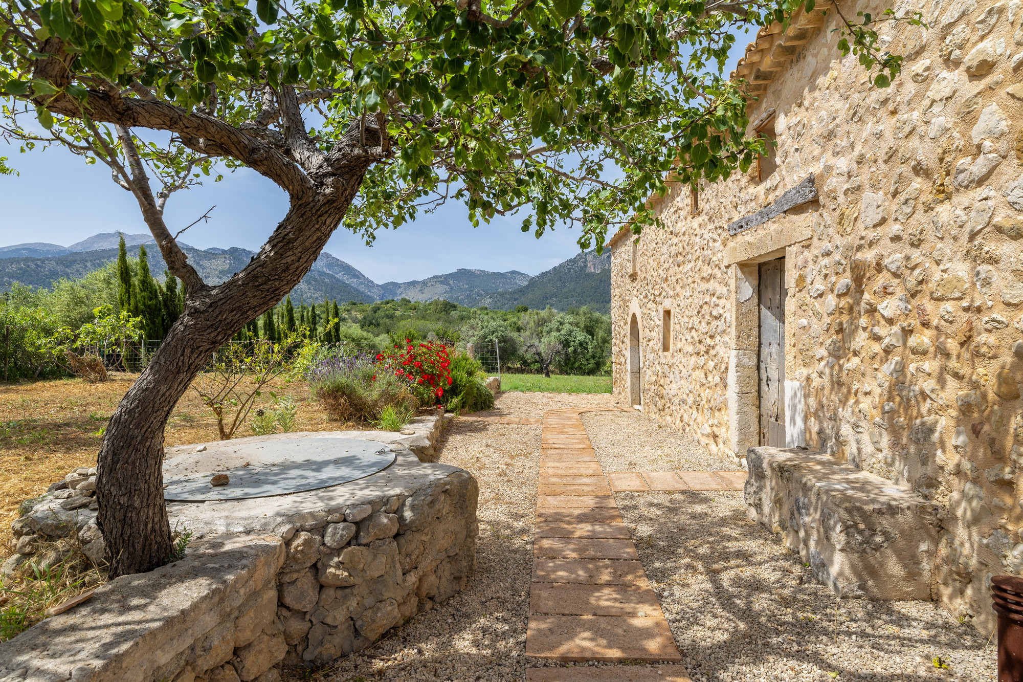 Luxury finca in Mallorca: Where tradition meets smart home technology at the Tramuntana-30