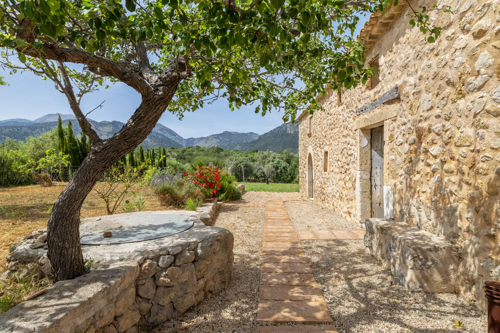 Luxury finca in Mallorca: Where tradition meets smart home technology at the Tramuntana-30