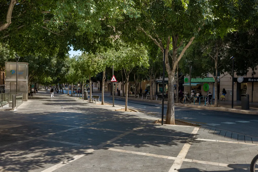 Gezellig café in Palma: perfect voor vergaderingen-16