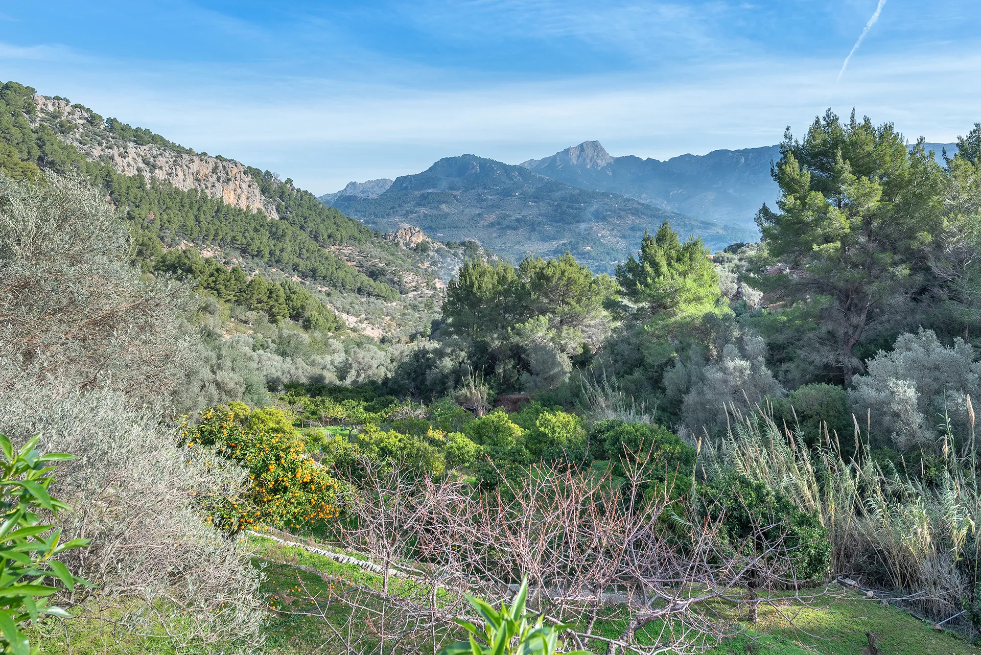 Maison de vacances magnifiquement située dans un environnement calme et privé près de Sóller-27