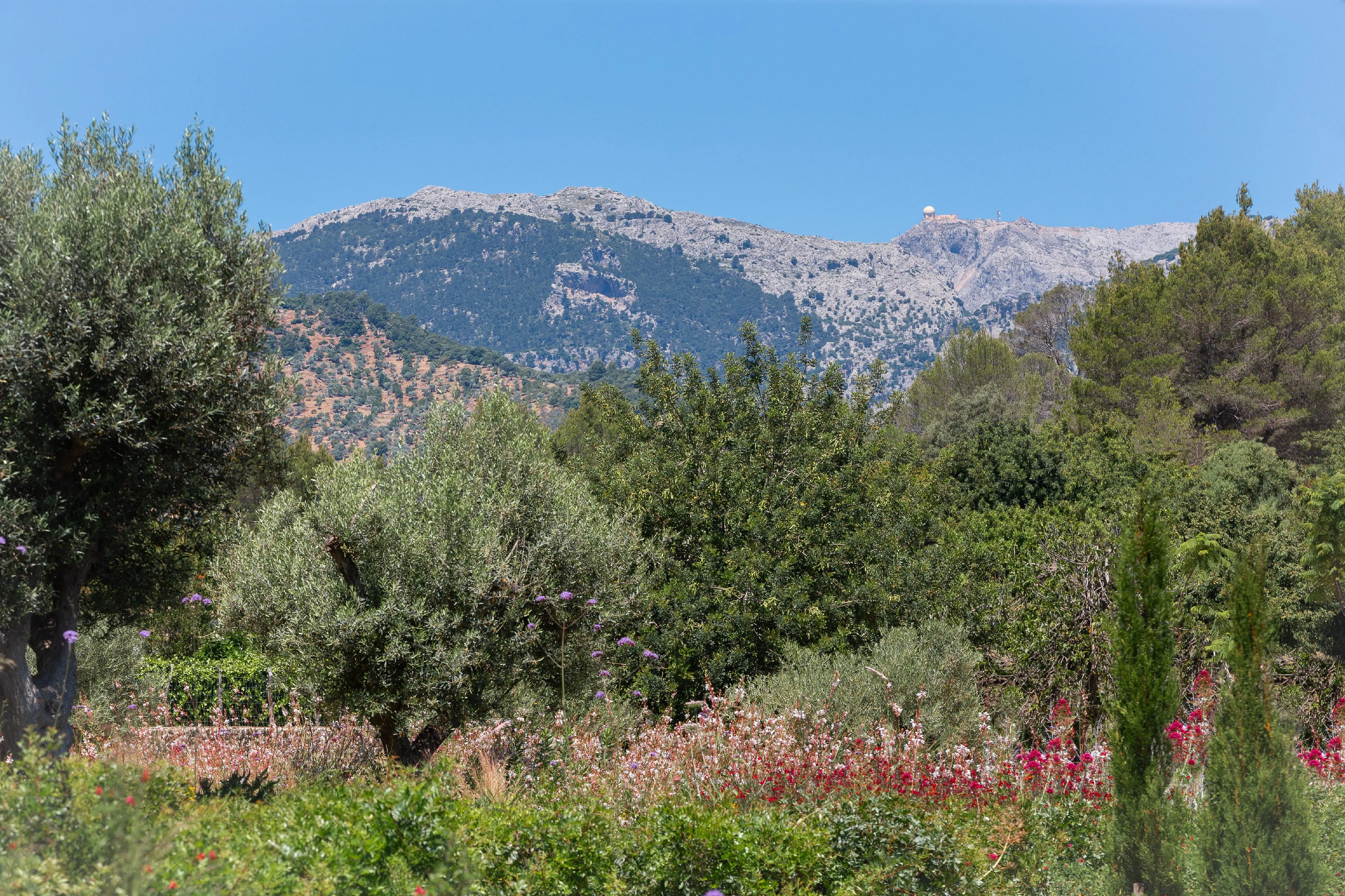 Эксклюзивный таунхаус в Сельве с бассейном, гаражом и потрясающим панорамным видом-3