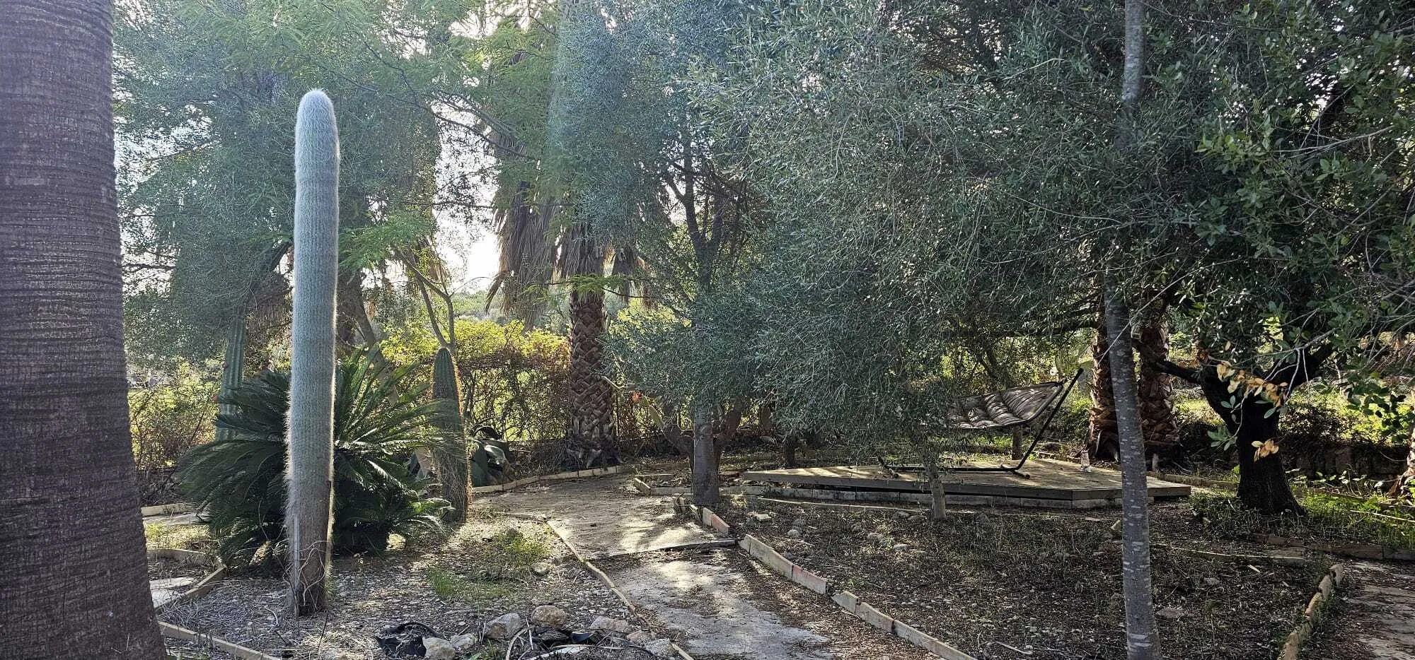 Eksklusiv finca i Alaró, omgivet af natur og ro-11