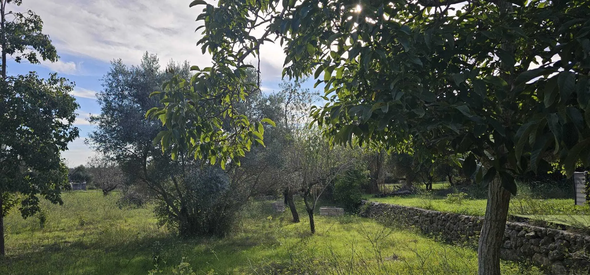 Ekskluzywna finca w Alaró, otoczona przyrodą i spokojem-12