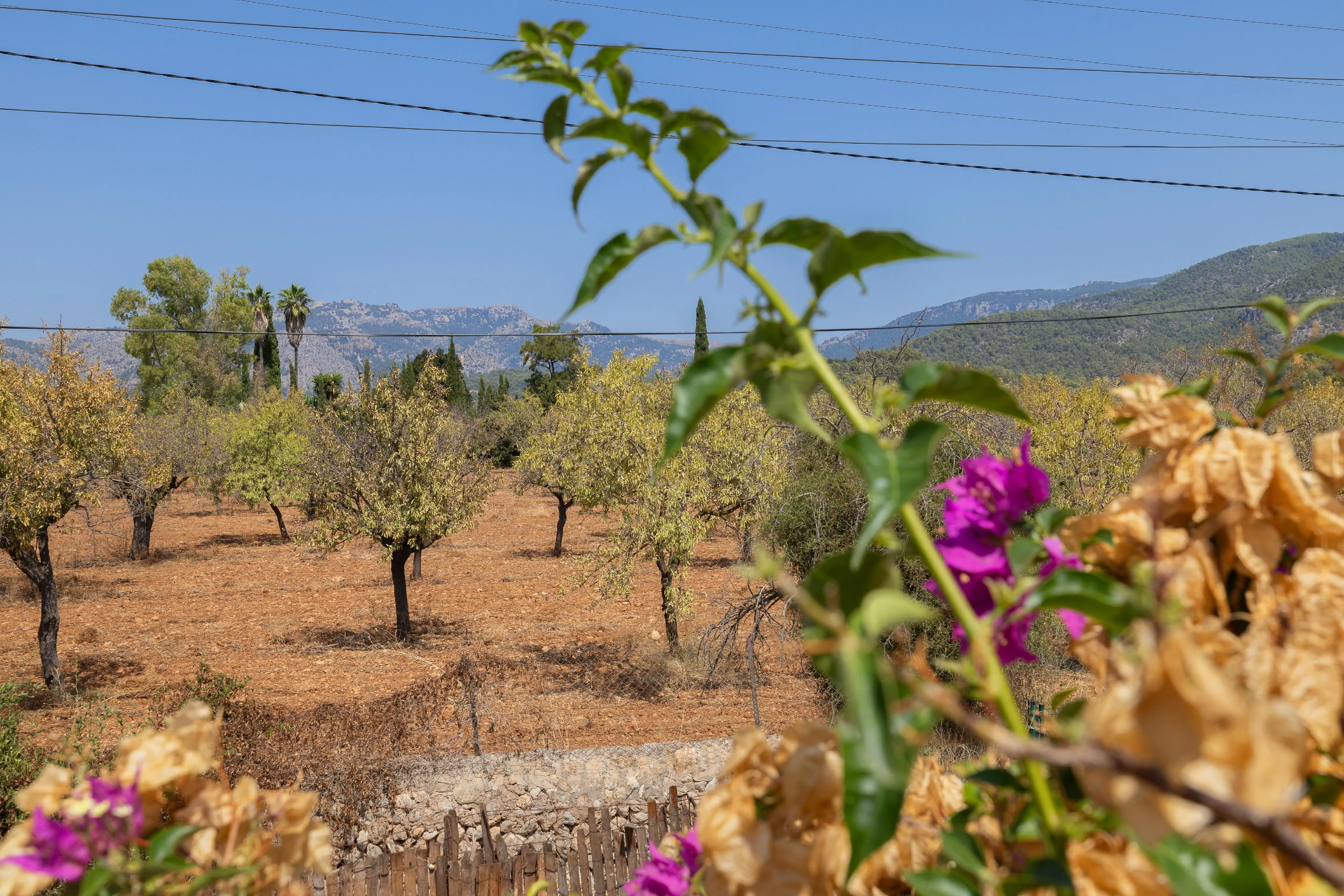 Finca mit Gästebereich und Ställen in Bunyola-20
