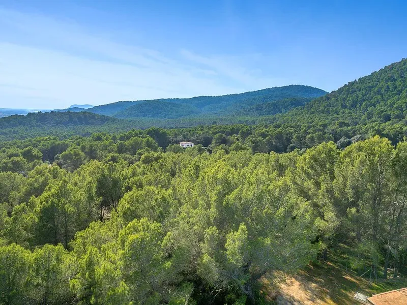 Villa familiare con licenza turistica a Crestatx, Sa Pobla-26