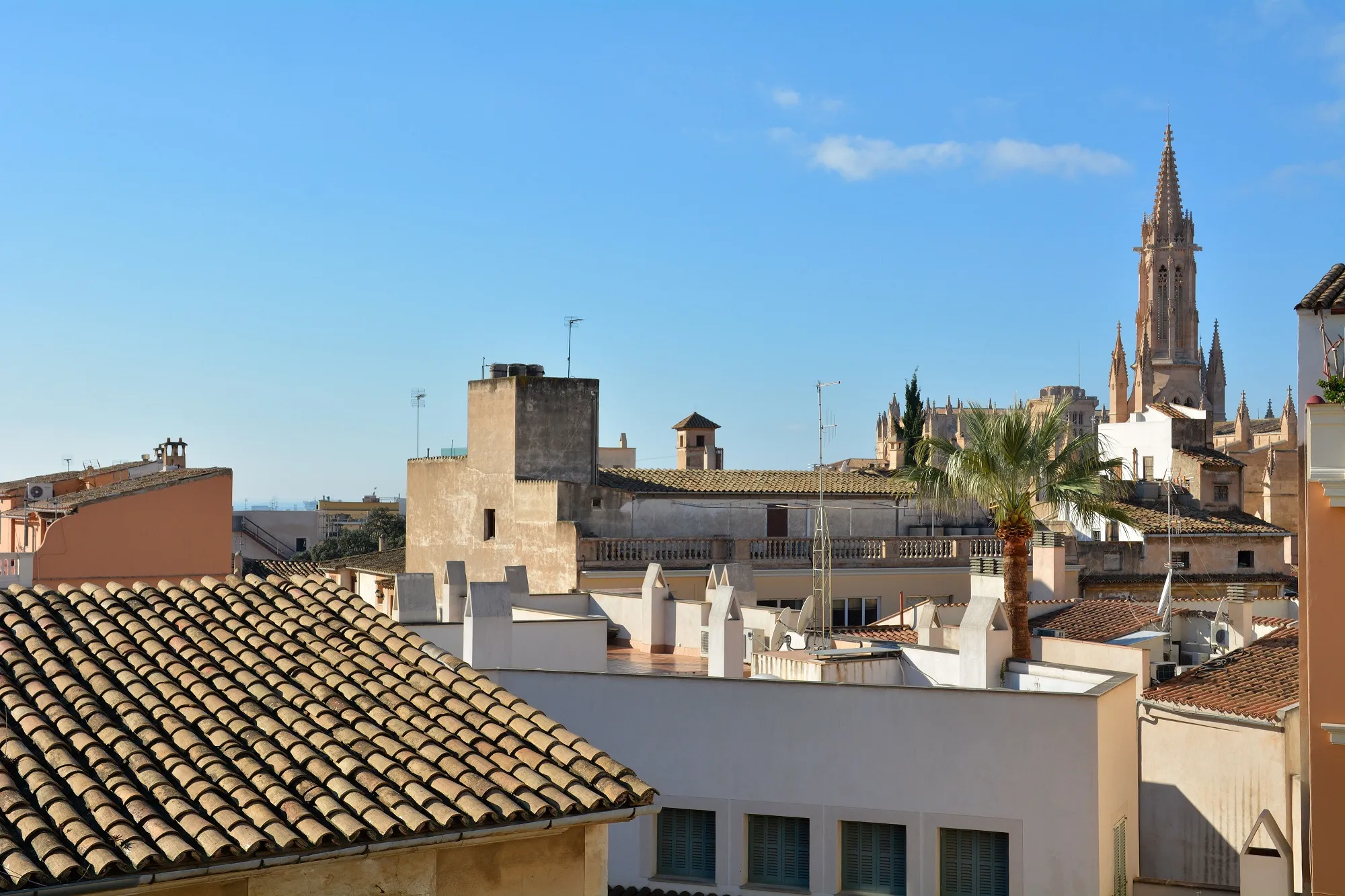 Проект: Элегантный таунхаус с различными вариантами использования, гаражом, лифтом и террасой на крыше!-4