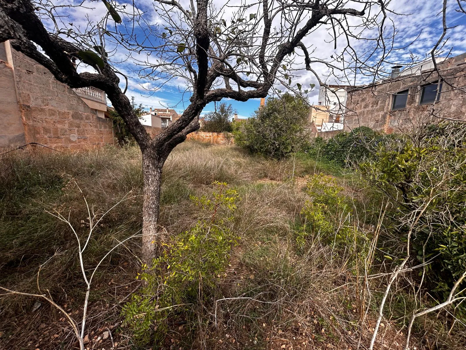 Førsteklasses bygrund i Llucmajor-4