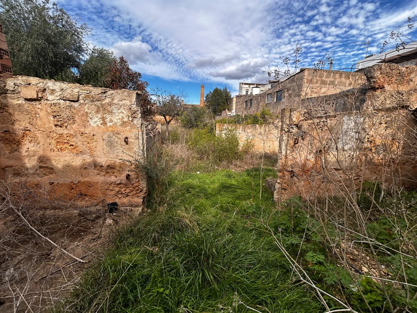 Førsteklasses bygrund i Llucmajor-5