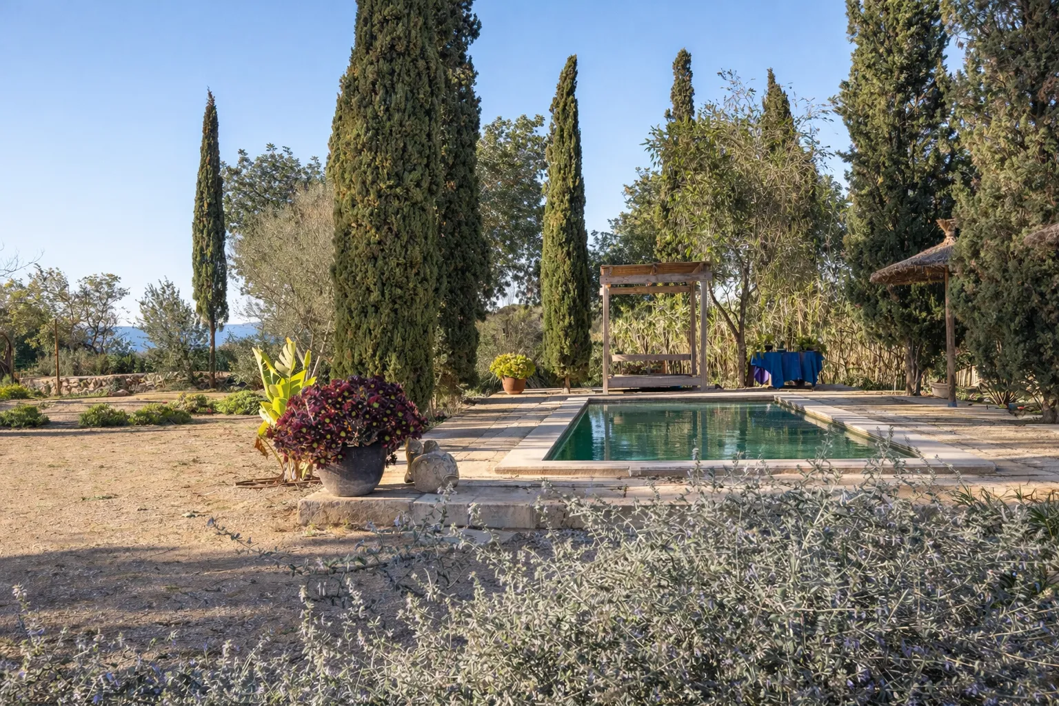 Idílica finca amb piscina al camp mallorquí-19