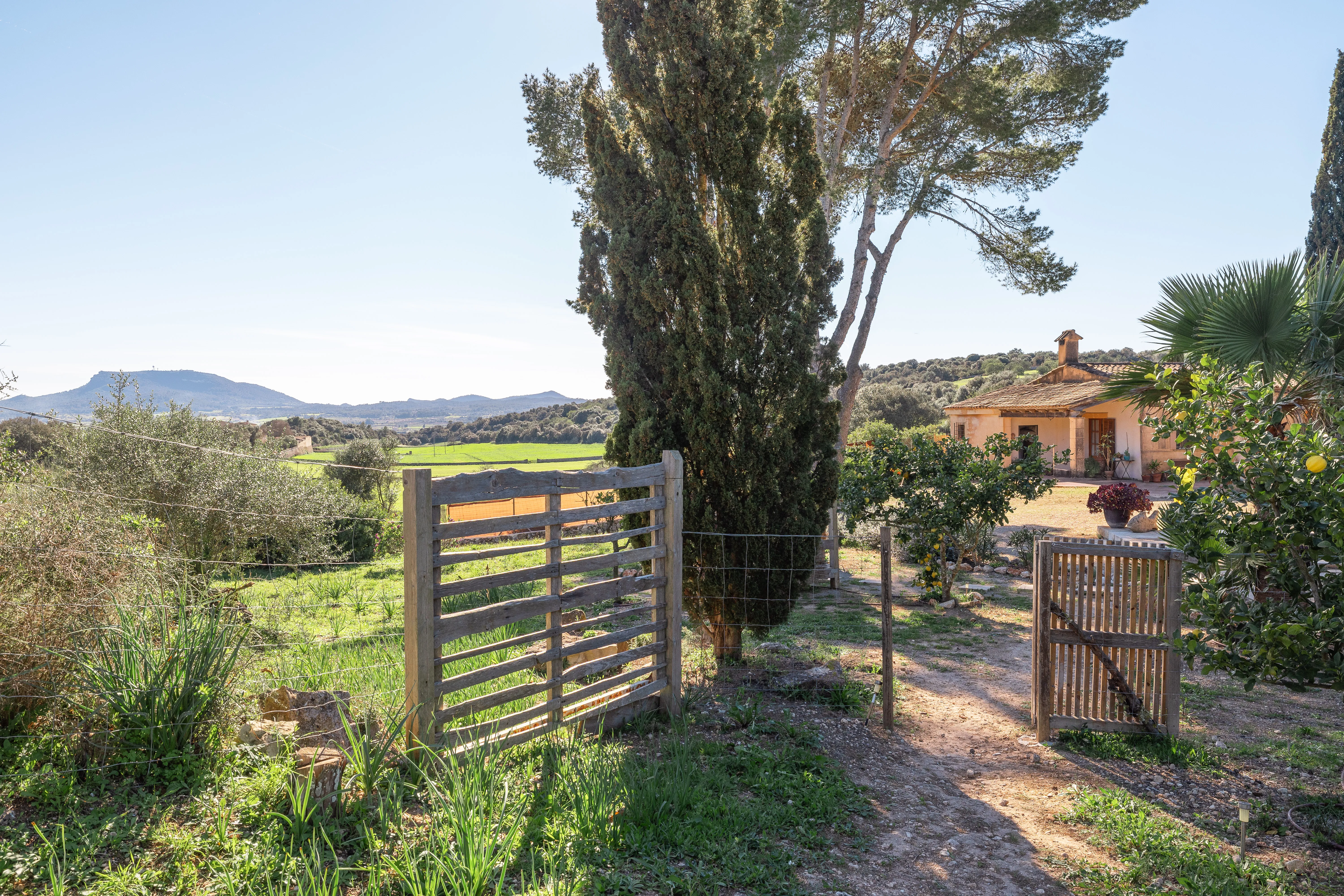 Idyllische finca met zwembad in het achterland van Mallorca-17