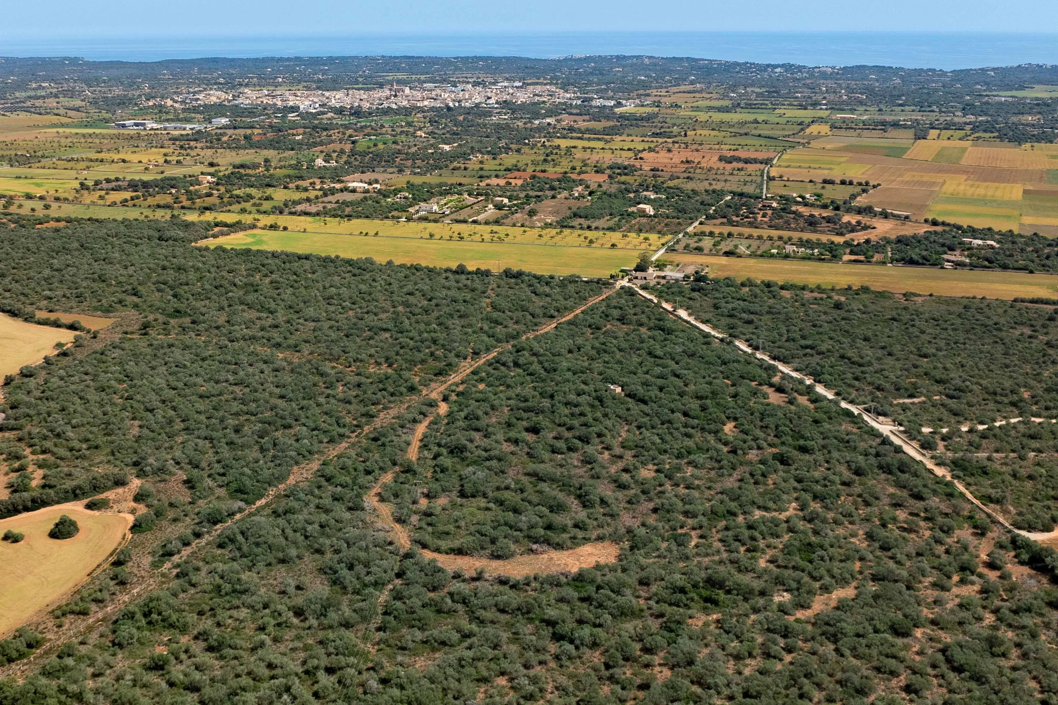 Una gran parcel·la de terreny amb un pla de desenvolupament atractiu i una llicència d'urbanisme existent.-4