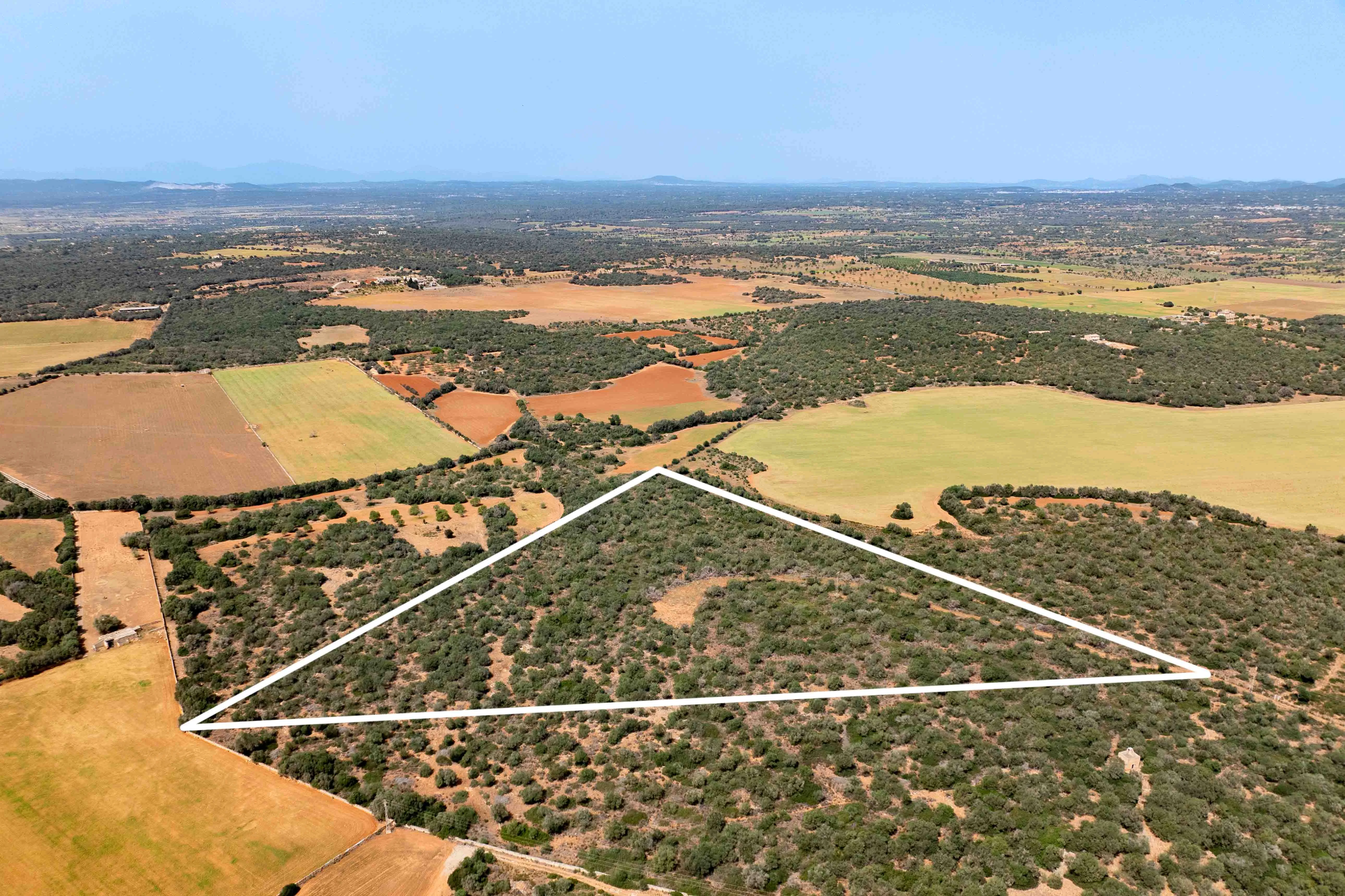 Una gran parcel·la de terreny amb un pla de desenvolupament atractiu i una llicència d'urbanisme existent.-8