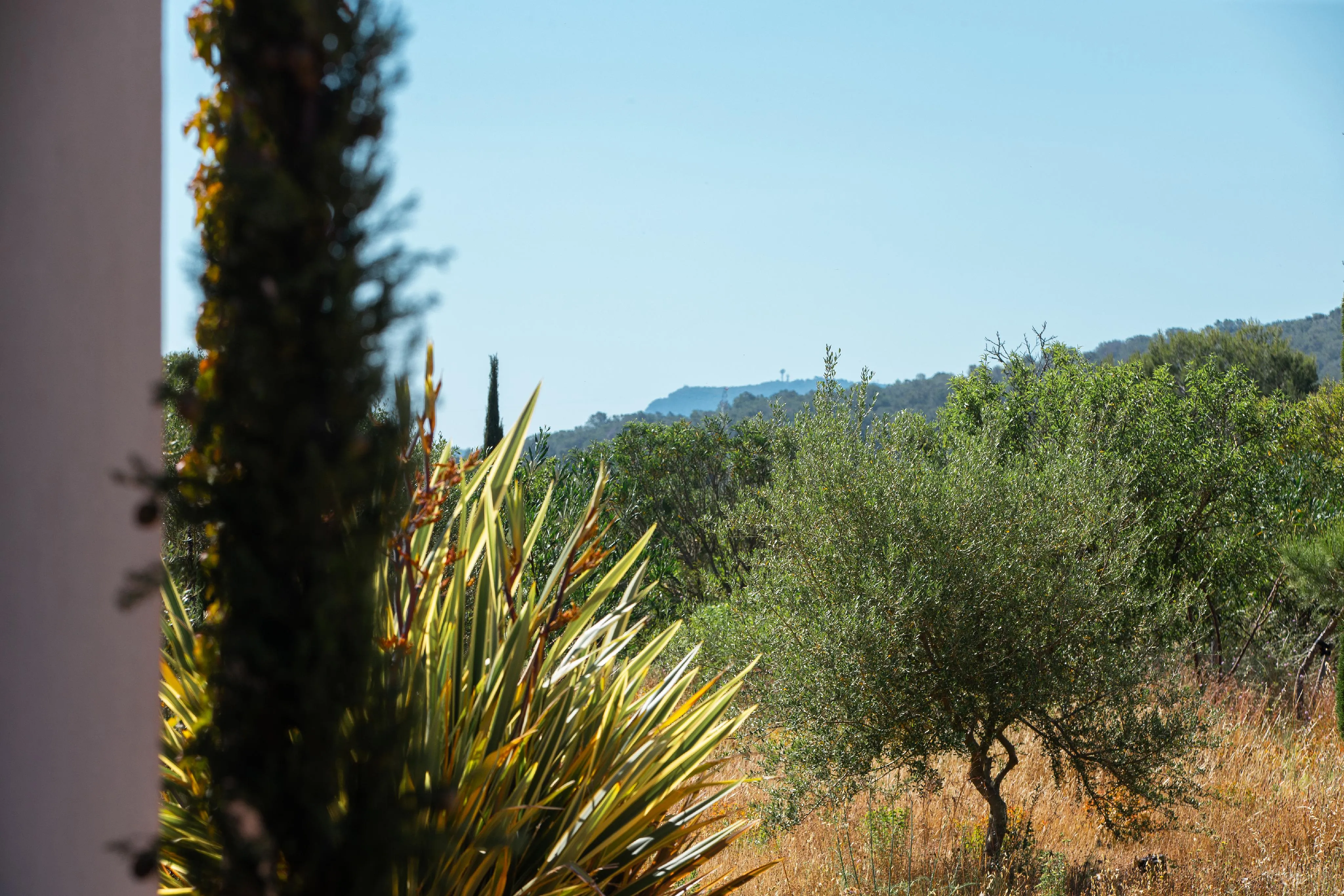 Tradition and modernity in this historic estate with vineyards-2