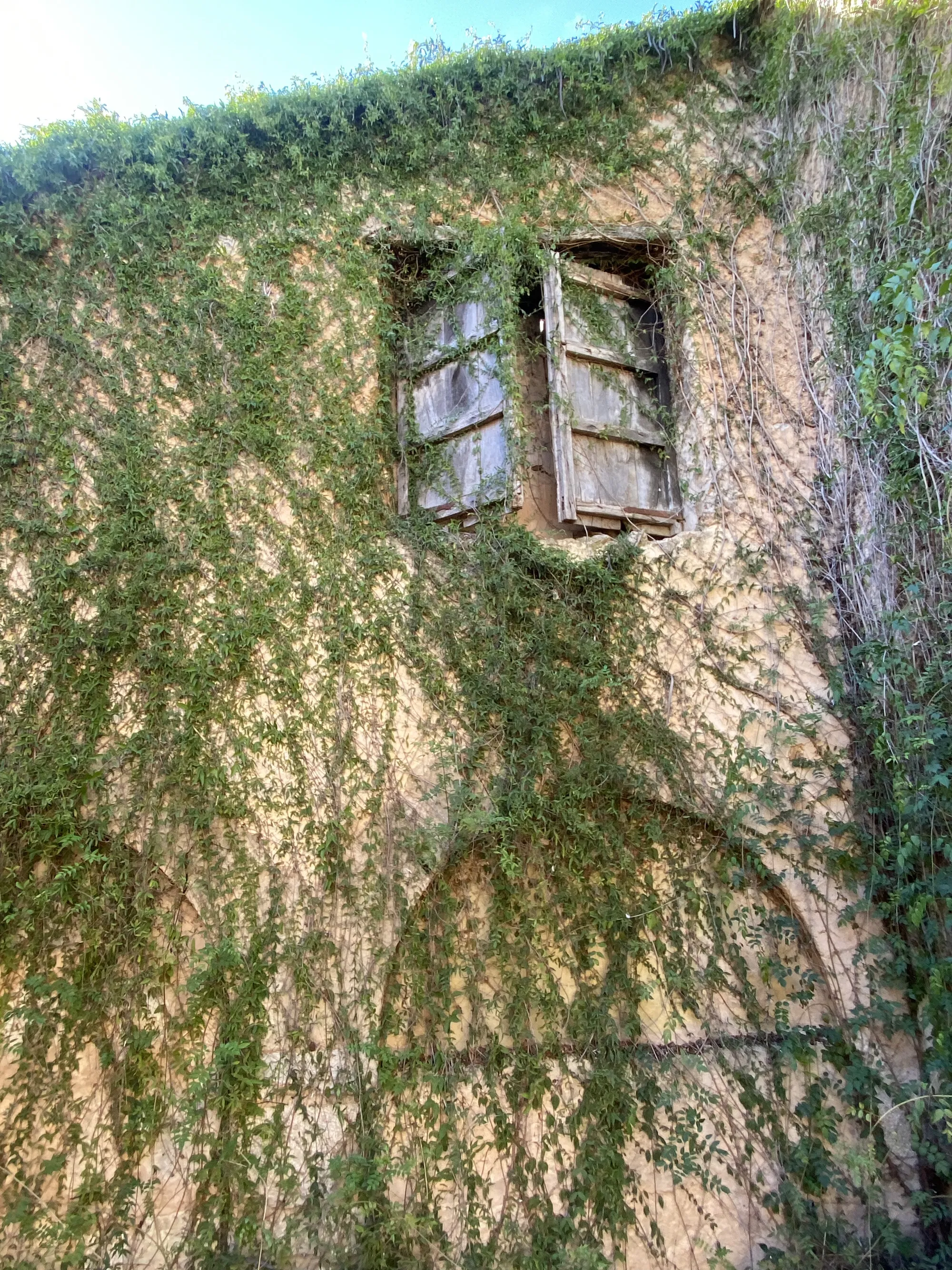 Progetto di una casa storica con piscina a Binissalem-8