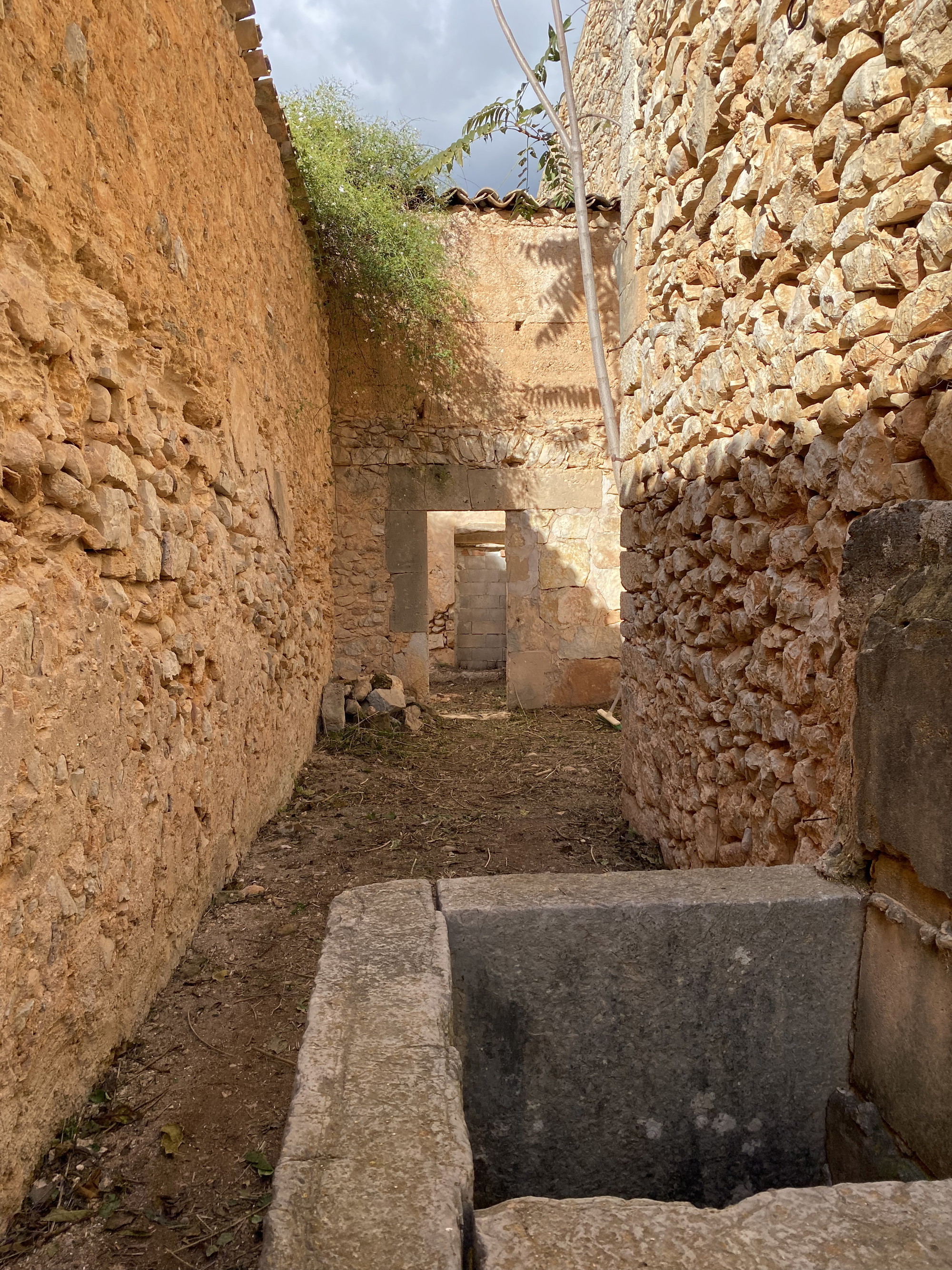 Progetto di una casa storica con piscina a Binissalem-10