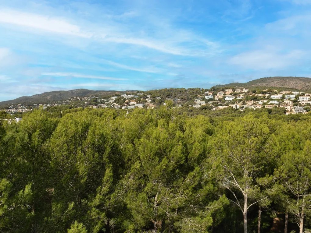 Piękny penthouse w Bendinat-17