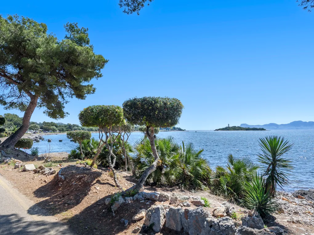 “Seafront Faro” Temporary rental in Puerto Alcudia-20