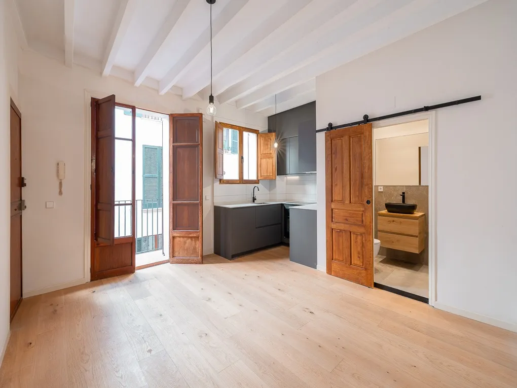 Charmant gerenoveerd appartement in Calatrava-1