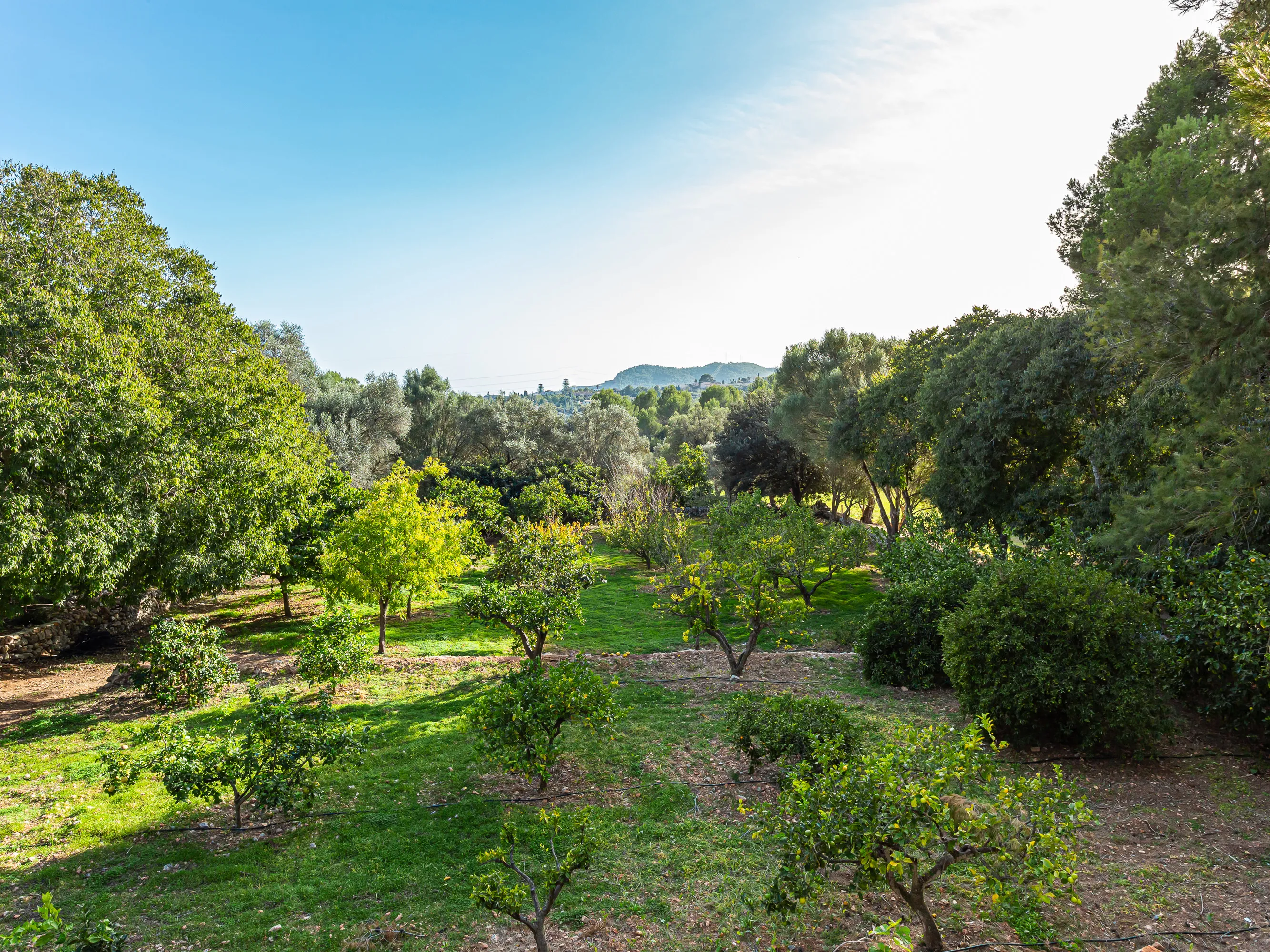 Dworek wiejski w Establiments, Palma de Mallorca-19