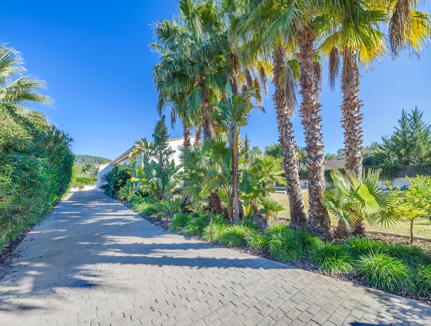 "VILLA AZAHAR Vakantiewoningen in Sa Pobla-4