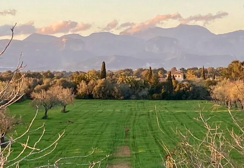 Autèntica finca mallorquina a Algaida-14