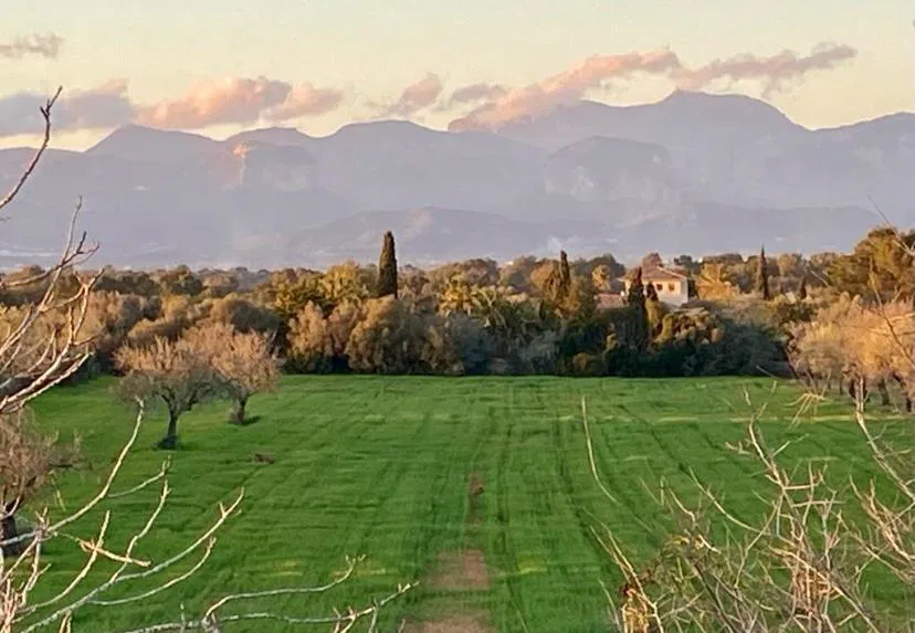 Autentisk mallorcinsk finca i Algaida-14