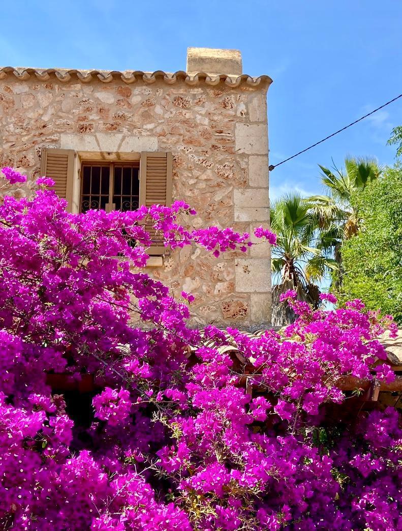 Autentisk mallorcinsk finca i Algaida-12
