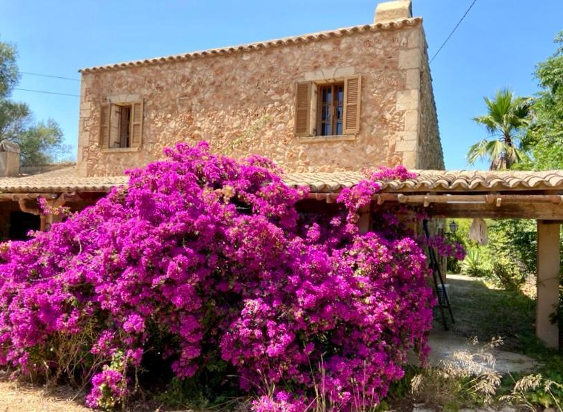 Autentisk mallorcinsk finca i Algaida-13