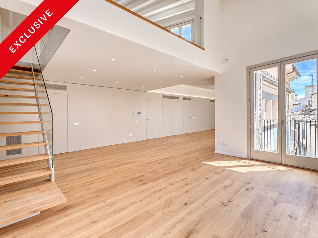 Imponerende penthouse med terrasse, elevator og parkeringsplads